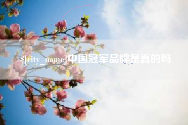 黔南中国冠军品牌是真的吗