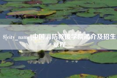 黔南中国消防救援学院简介及招生章程