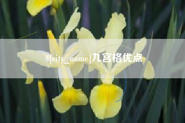黔南九宫格优点