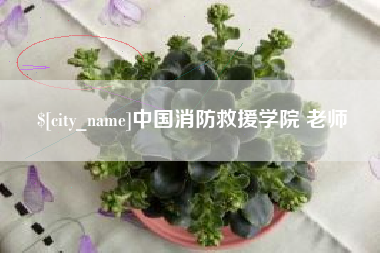黔南中国消防救援学院 老师