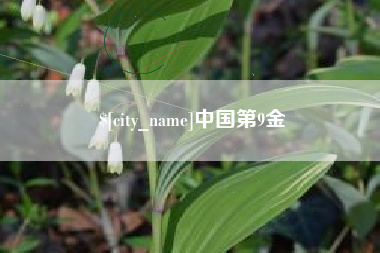 黔南中国第9金