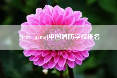 黔南中国消防学校排名