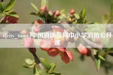黔南中国消防官网中小学消防公开课