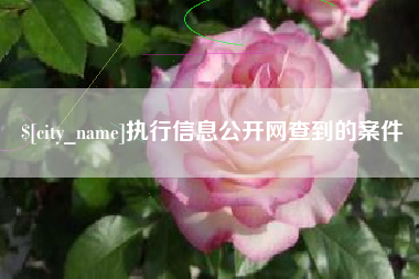 黔南执行信息公开网查到的案件