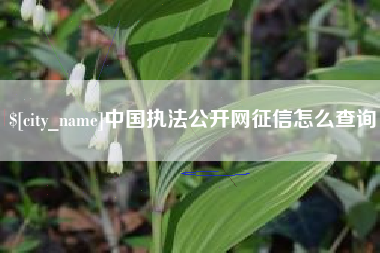 黔南中国执法公开网征信怎么查询