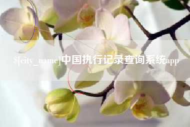黔南中国执行记录查询系统app