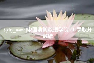 黔南中国消防救援学院2019录取分数线