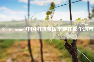 黔南中国消防救援学院在那个地方