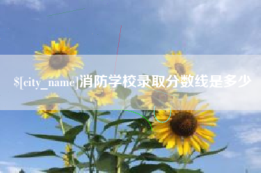 黔南消防学校录取分数线是多少