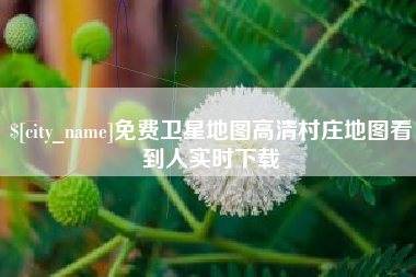 黔南免费卫星地图高清村庄地图看到人实时下载
