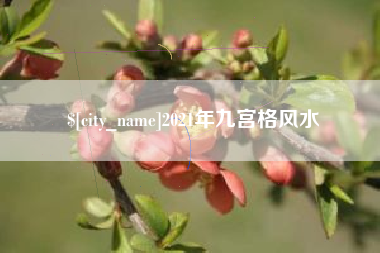 黔南2021年九宫格风水