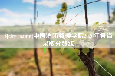 黔南中国消防救援学院2020年各省录取分数线