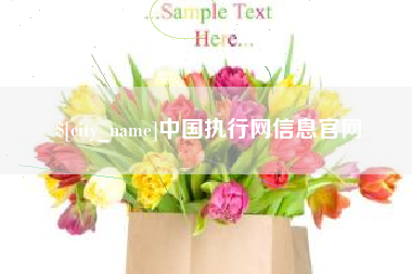 黔南中国执行网信息官网