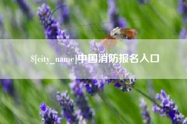 黔南中国消防报名入口