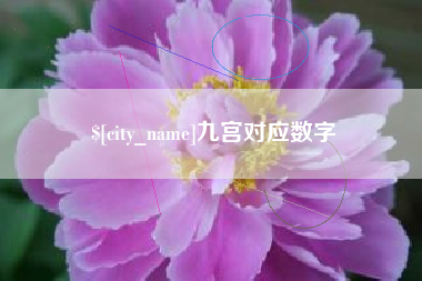 黔南九宫对应数字