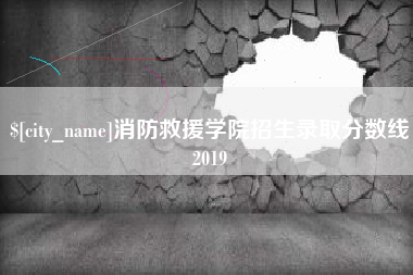 黔南消防救援学院招生录取分数线2019