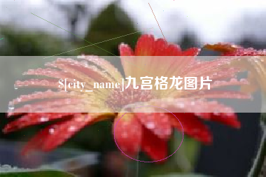 黔南九宫格龙图片