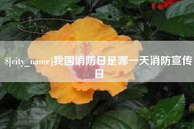 黔南我国消防日是哪一天消防宣传日
