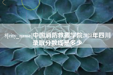黔南中国消防救援学院2021年四川录取分数线是多少