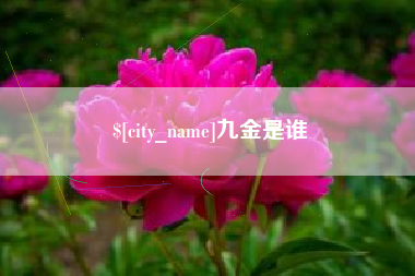 黔南九金是谁