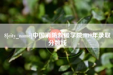 黔南中国消防救援学院2019年录取分数线