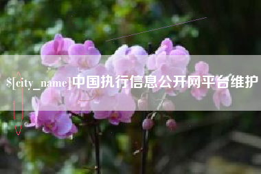 黔南中国执行信息公开网平台维护