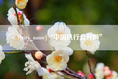 黔南“中国执行公开网”