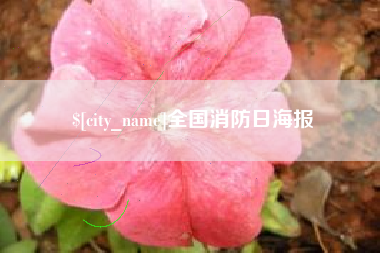 黔南全国消防日海报