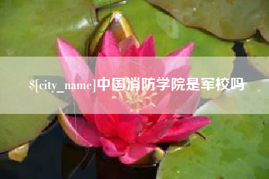 黔南中国消防学院是军校吗