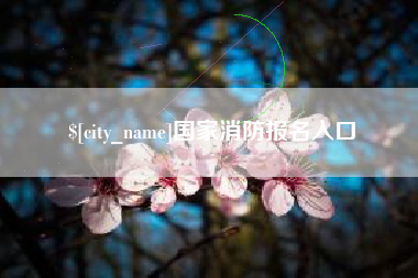 黔南国家消防报名入口