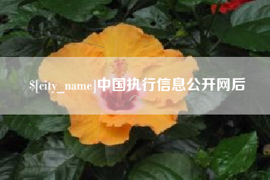 黔南中国执行信息公开网后