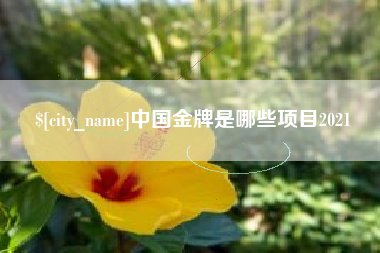 黔南中国金牌是哪些项目2021