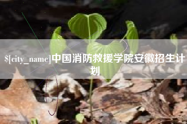 黔南中国消防救援学院安徽招生计划