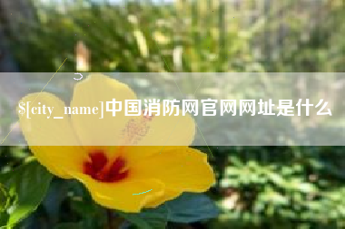 黔南中国消防网官网网址是什么
