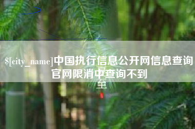 黔南中国执行信息公开网信息查询官网限消中查询不到