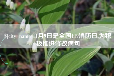 黔南11月9日是全国119消防日,为积极推进修改病句