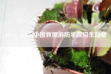 黔南中国救援消防学院招生简章