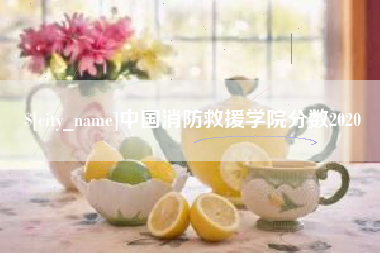 黔南中国消防救援学院分数2020
