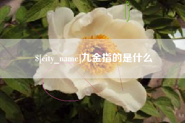 黔南九金指的是什么