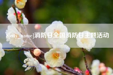 黔南消防日全国消防日主题活动