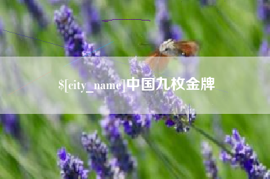 黔南中国九枚金牌