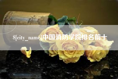 黔南中国消防学院排名前十