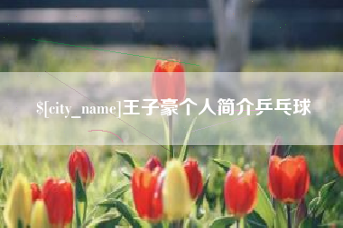 黔南王子豪个人简介乒乓球