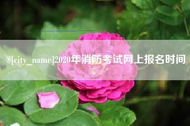 黔南2020年消防考试网上报名时间