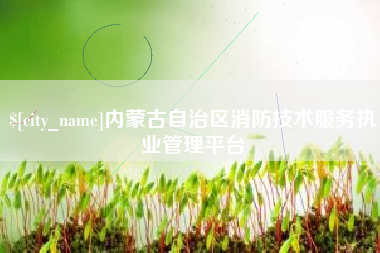 黔南内蒙古自治区消防技术服务执业管理平台