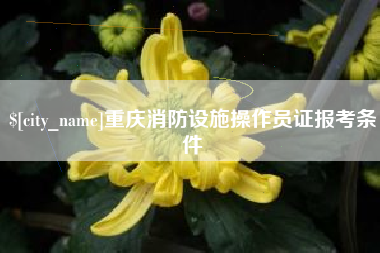 黔南重庆消防设施操作员证报考条件