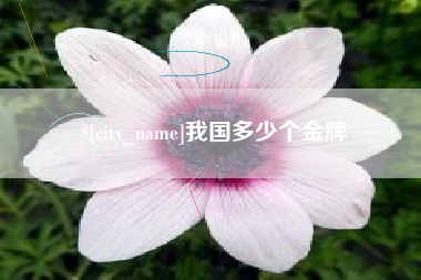 黔南我国多少个金牌