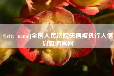 黔南全国人民法院失信被执行人信息查询官网