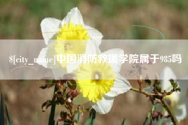 黔南中国消防救援学院属于985吗