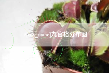 黔南九宫格分布图